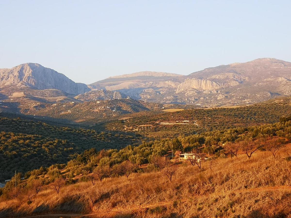 Finca Pil - Casa Rural Con Piscina Ríogordo Dış mekan fotoğraf